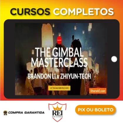 The Gimbal Masterclass - Brandon Li [INGLÊS]