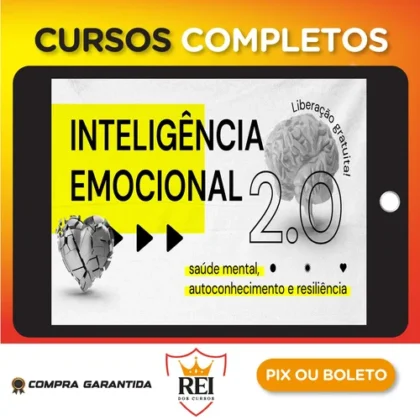 Inteligência Emocional 2.0 - Escola Conquer