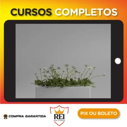 Shading no Blender para Iniciantes - Rafael Vallaperde