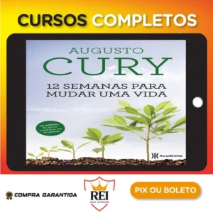 12 Semanas para Mudar uma Vida - Augusto Cury