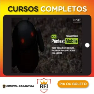 Analista de Ataque Cibernético - IGTI (XP Educação)